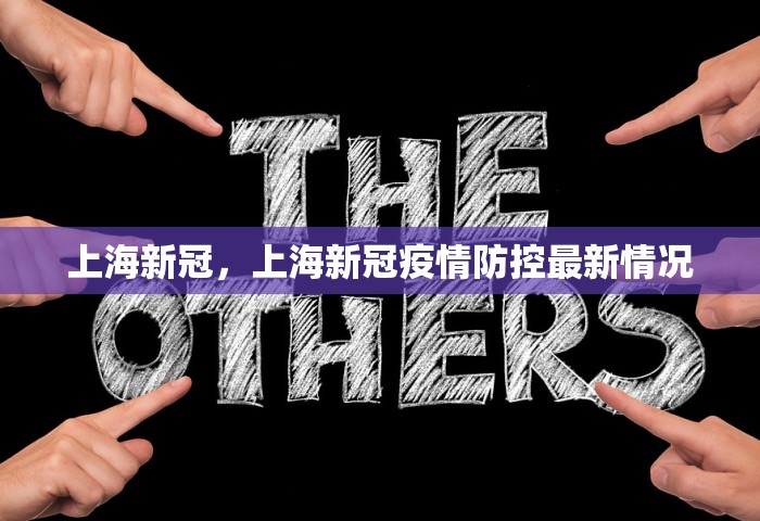 山东最新疫情报告，山东最新疫情报告
