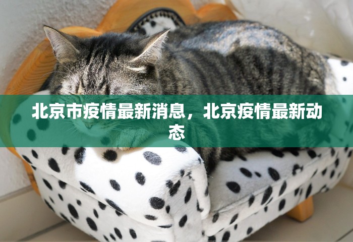 玩家测评“微信群链接房卡在哪里买”如何获取房卡教程