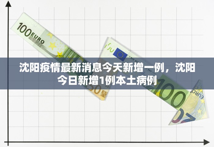 沈阳疫情最新消息今天新增一例，沈阳今日新增1例本土病例