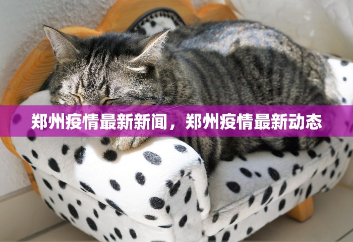 郑州疫情最新新闻，郑州疫情最新动态