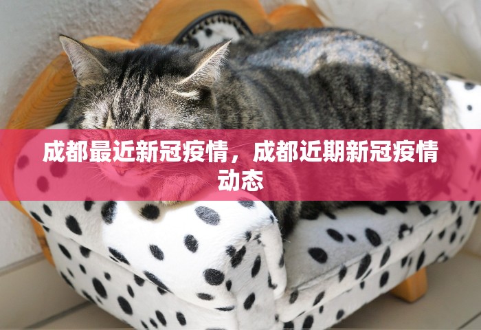 成都最近新冠疫情，成都近期新冠疫情动态