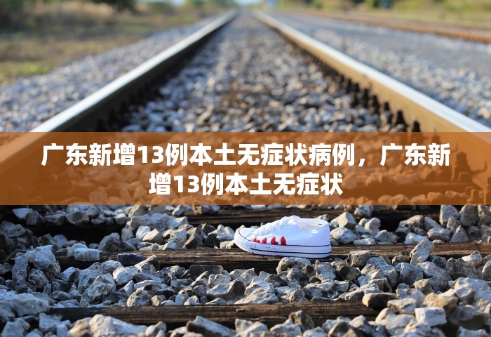 广东新增13例本土无症状病例，广东新增13例本土无症状