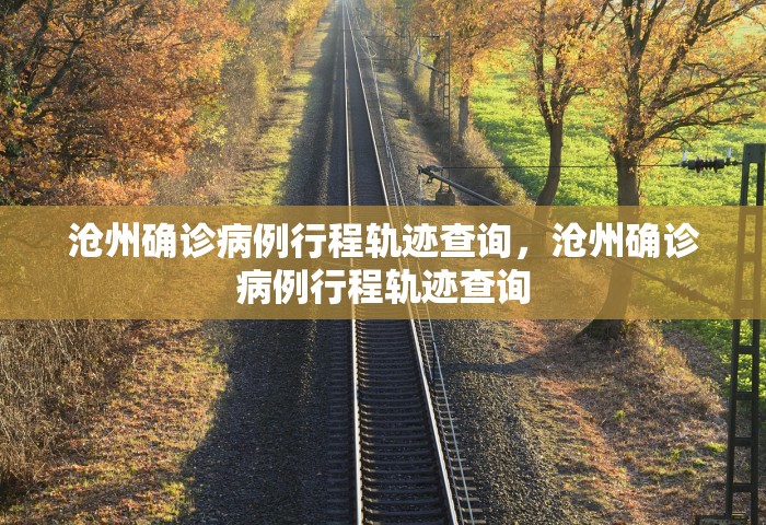 沧州确诊病例行程轨迹查询，沧州确诊病例行程轨迹查询