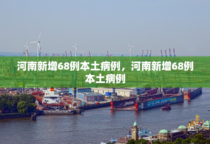 31省份新增4例确诊 均为境外输入，31省份新增4例确诊均为境外输入