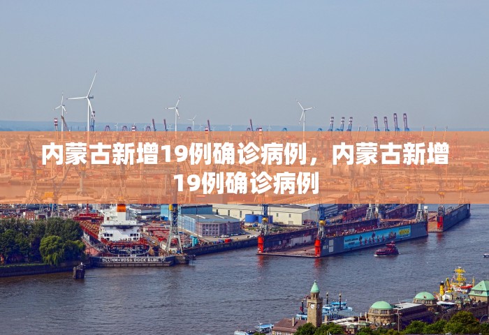 内蒙古新增19例确诊病例，内蒙古新增19例确诊病例
