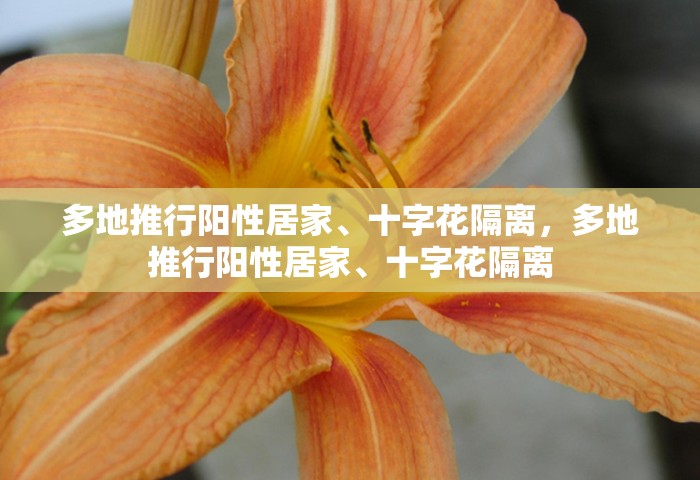2021高考时间表，2021年全国高考时间安排表