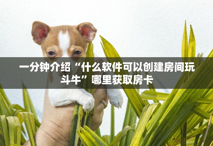 西安曲江ccbd具体范围，西安曲江CCBD具体范围