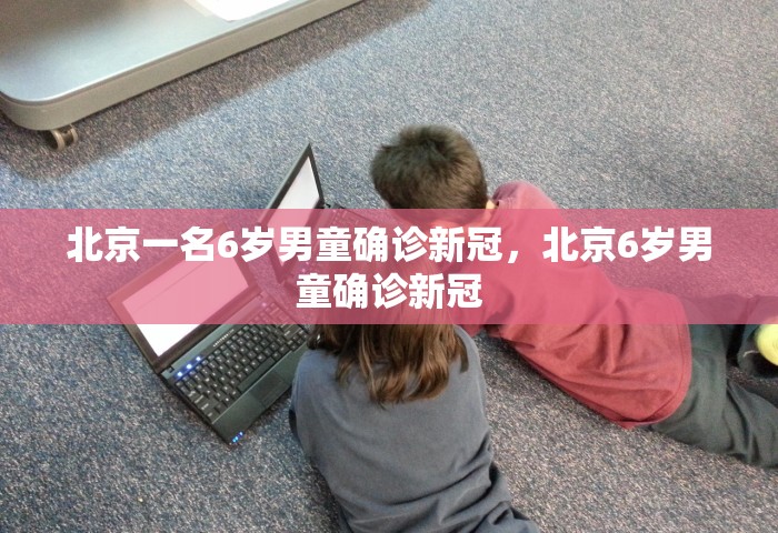 31省份新增本土确诊110例 河南87例，31省份新增本土确诊110例 河南87例