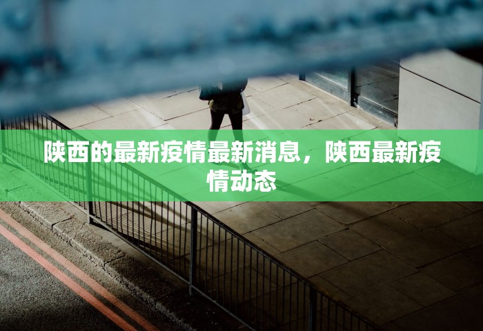 陕西的最新疫情最新消息，陕西最新疫情动态