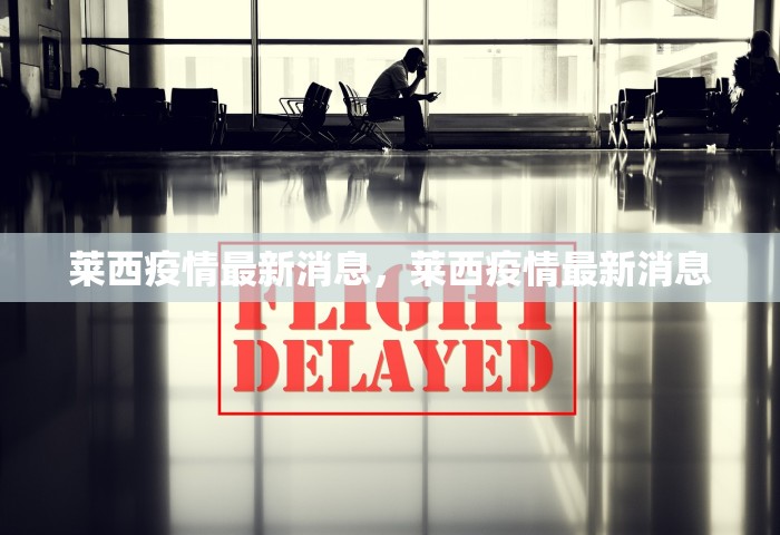 31省份新增本土确诊13例 江苏6例，31省份新增本土确诊13例 江苏6例