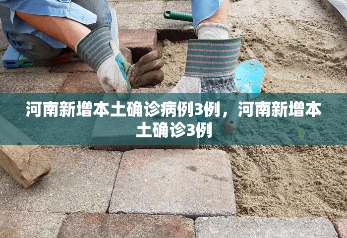 河南新增本土确诊病例3例，河南新增本土确诊3例