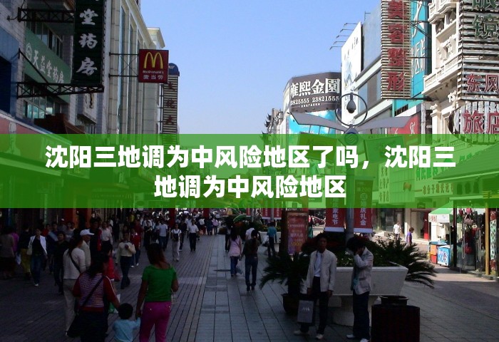 沈阳三地调为中风险地区了吗	，沈阳三地调为中风险地区