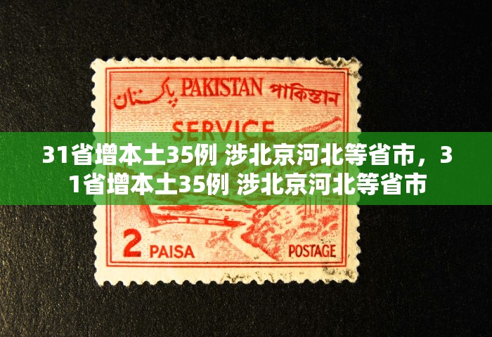 31省增本土35例 涉北京河北等省市，31省增本土35例 涉北京河北等省市
