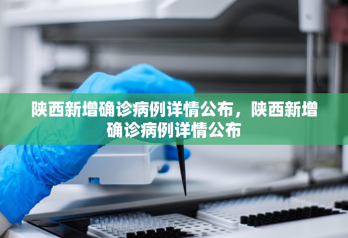 陕西新增确诊病例详情公布，陕西新增确诊病例详情公布