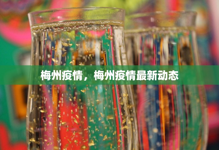 梅州疫情，梅州疫情最新动态