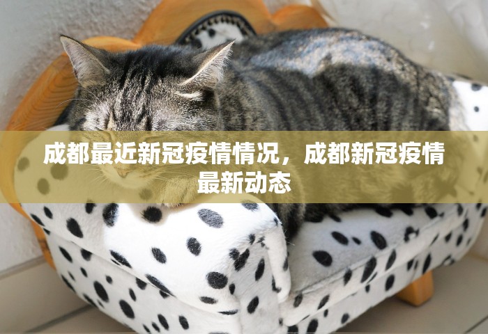 31省区市新增4例本土确诊，31省区市新增4例本土确诊