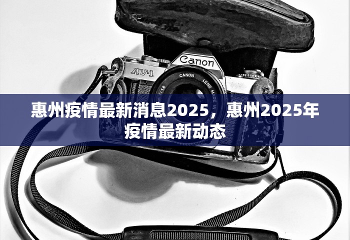 惠州疫情最新消息2025，惠州2025年疫情最新动态