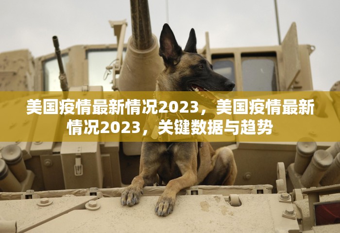 美国疫情最新情况2023，美国疫情最新情况2023	，关键数据与趋势