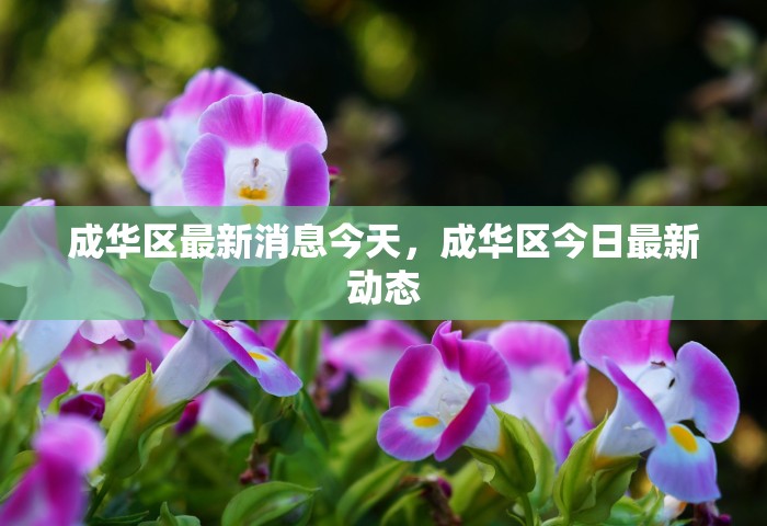最新辽宁鞍山海城疫情，辽宁鞍山海城最新疫情通报