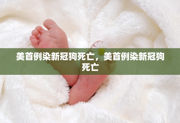 美首例染新冠狗死亡，美首例染新冠狗死亡