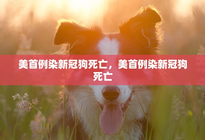 吉林疫情什么时候结束，吉林疫情预计何时结束？