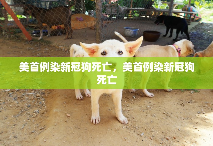 北京24小时实时天气预报新，北京24小时实时天气动态