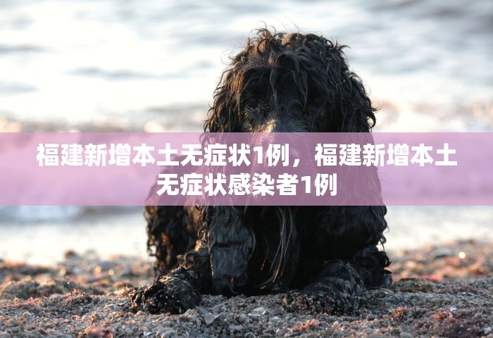 31省区市新增本土确诊3例，31省区市新增本土确诊3例