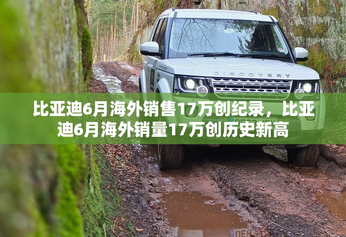 比亚迪6月海外销售17万创纪录，比亚迪6月海外销量17万创历史新高