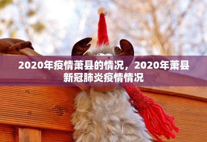 2020年疫情萧县的情况，2020年萧县新冠肺炎疫情情况