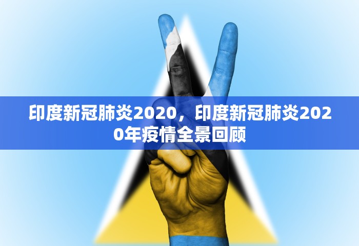 印度新冠肺炎2020	，印度新冠肺炎2020年疫情全景回顾
