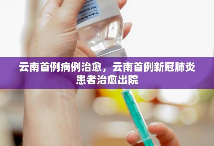 美国疫情最新消息今天新增病例，美国疫情最新消息，今日新增病例数据通报