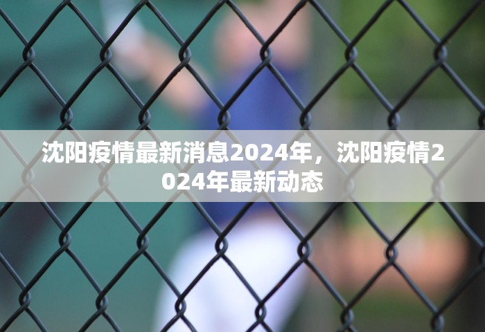 31省新增59例本土确诊，31省新增59例本土确诊