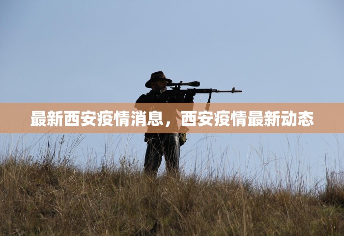最新西安疫情消息，西安疫情最新动态