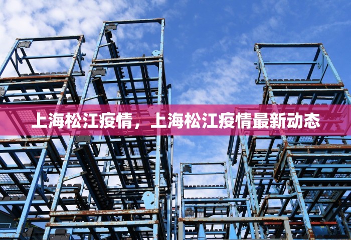 上海松江疫情，上海松江疫情最新动态
