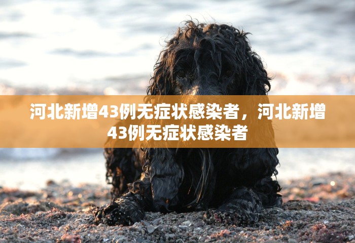 河北新增43例无症状感染者	，河北新增43例无症状感染者