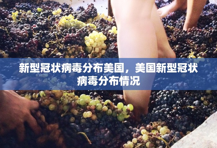 新型冠状病毒分布美国，美国新型冠状病毒分布情况