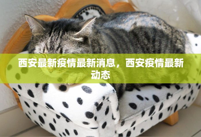 西安最新疫情最新消息，西安疫情最新动态