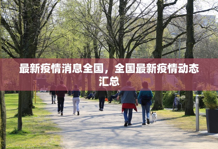 最新疫情消息全国，全国最新疫情动态汇总