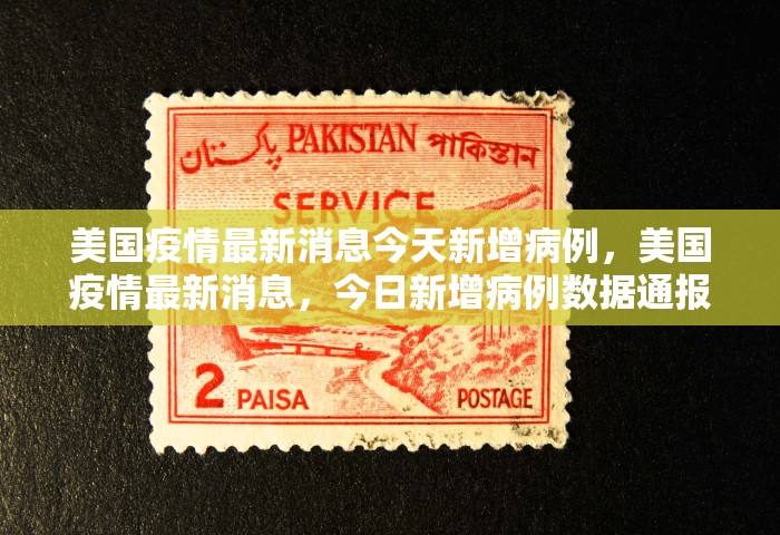 美国疫情最新消息今天新增病例，美国疫情最新消息，今日新增病例数据通报