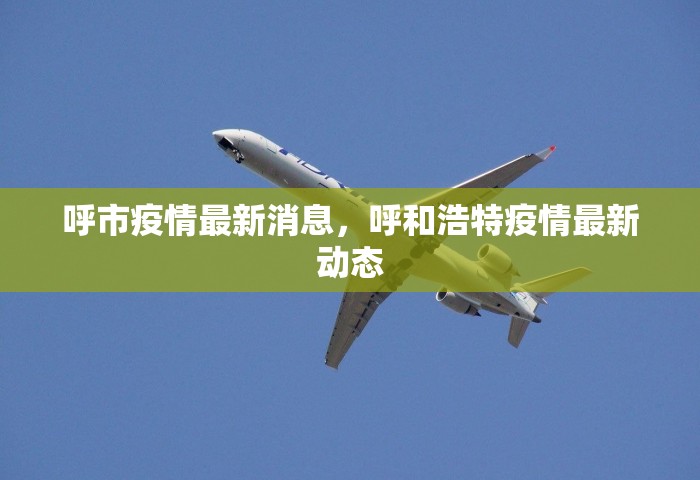 呼市疫情最新消息，呼和浩特疫情最新动态