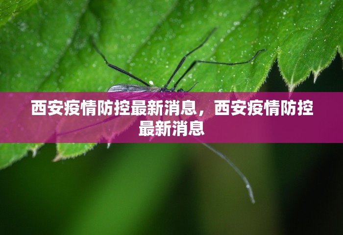西安疫情防控最新消息，西安疫情防控最新消息