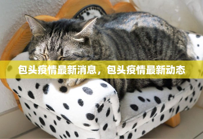 包头疫情最新消息，包头疫情最新动态