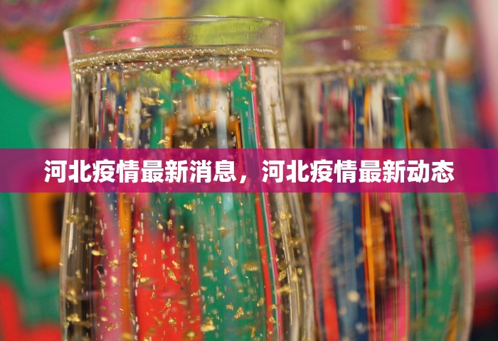 河北疫情最新消息，河北疫情最新动态