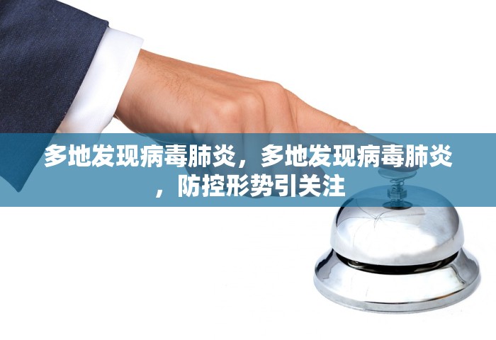多地发现病毒肺炎，多地发现病毒肺炎，防控形势引关注