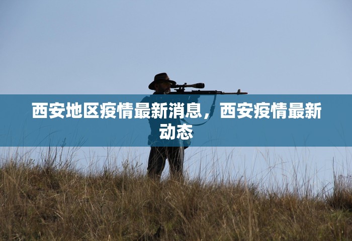 西安地区疫情最新消息，西安疫情最新动态