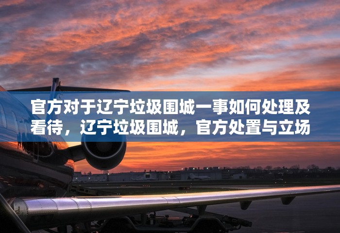 官方对于辽宁垃圾围城一事如何处理及看待	，辽宁垃圾围城，官方处置与立场