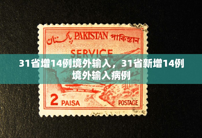 31省增14例境外输入，31省新增14例境外输入病例