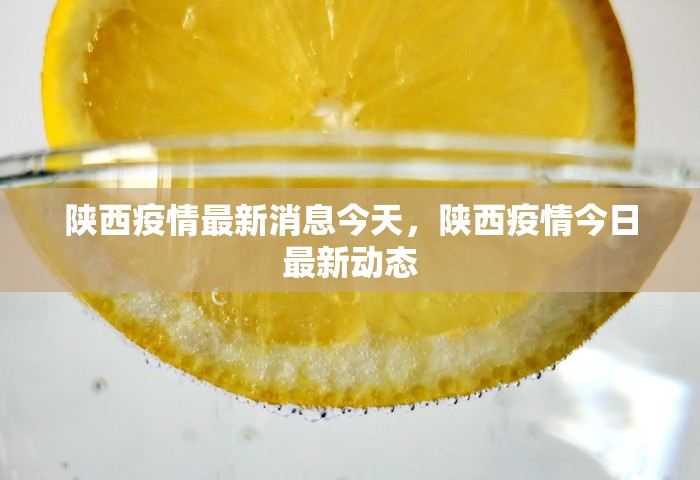 陕西疫情最新消息今天，陕西疫情今日最新动态