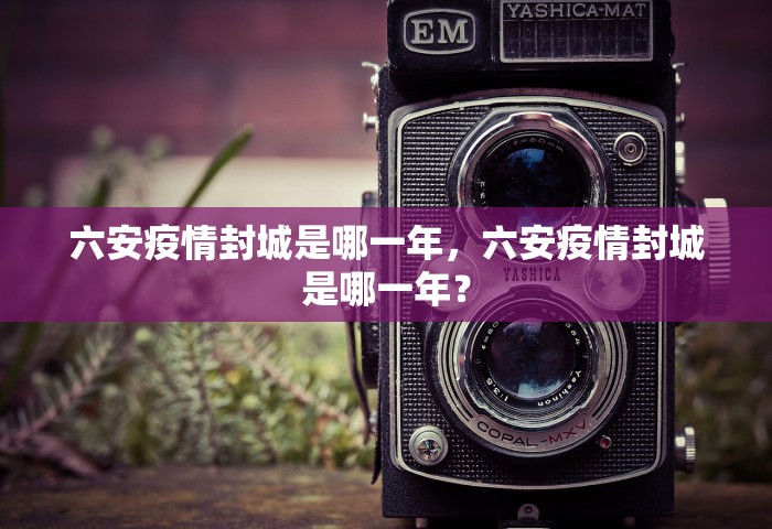 六安疫情封城是哪一年，六安疫情封城是哪一年？