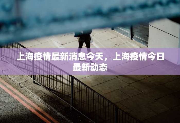 上海疫情最新消息今天，上海疫情今日最新动态
